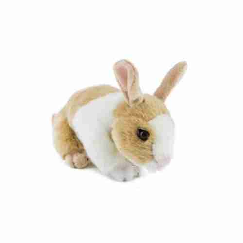 Mopsy the tortoise color Dutch rabbit plush soft toy, cuddly bunny